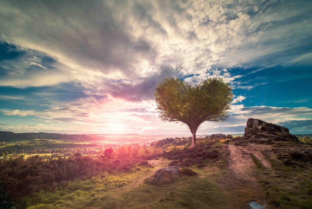The Ultimate List of Free Stock Photos For Your Presentations | Ethos3 ...