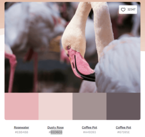 DUSTY ROSE PROCREATE Color Palette Hex Codes Pink, Purple, Red